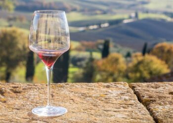 vino-per-ismea-meno-7-nei-primi-mesi-del-2022-nella-gdo