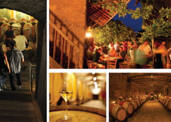 dieci-anni-di-vino-in-festa