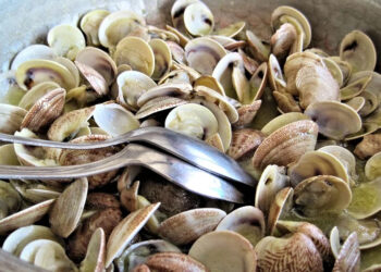 vongole-cucina-tradizionale-italiana-in-salvo