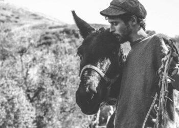 dalle-madonie-alle-alpi-a-passo-di-mulo