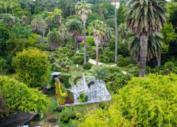 ripensare-le-nostre-citta-report-del-wwf