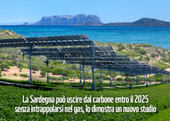 wwf-puo-partire-dalla-sardegna-lo-sviluppo-a-carbonio-zero