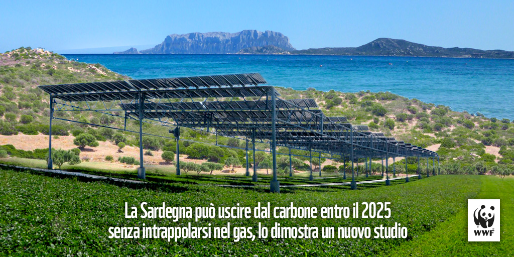 wwf-puo-partire-dalla-sardegna-lo-sviluppo-a-carbonio-zero