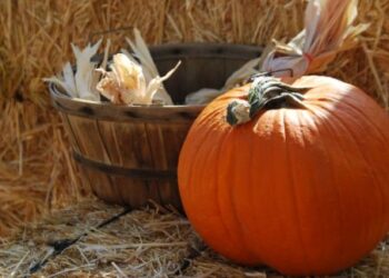 festa-della-zucca-a-lana-e-dintorni-dal-22-al-24-settembre-2017