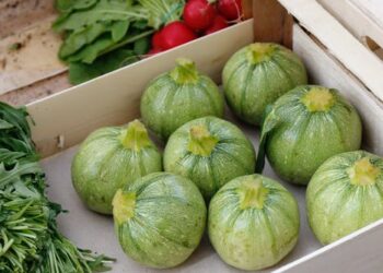 landamento-delle-produzioni-estive