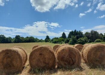 “Generazione Terra”, per l’ UCI è strumento positivo