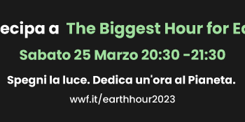Il 15 marzo, Giornata Mondiale dei diritti dei consumatori