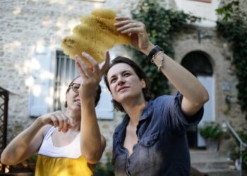 Restartapp, fino al 12 maggio per candidarsi al campus gratuito per giovani imprenditori in Appennino