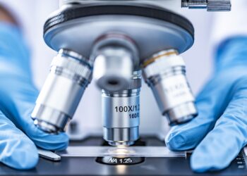 La carne creata in laboratorio vicina alla commercializzazione in America