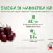 Ciliegia di Marostica IGP, qualità che evolve