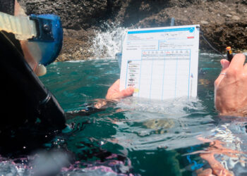 Mediterraneo, nasce il primo database dei pesci ‘sentinella’ del cambiamento climatico