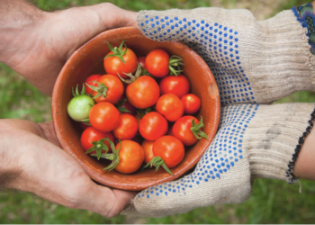 La Dieta mediterranea, patrimonio da salvaguardare