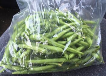 Serpillo, necessario ridurre plastica ma agricoltura non deve essere penalizzata