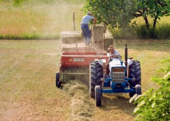 Decreto flussi, quote specifiche per agricoltura e turismo