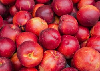 Pesche e nettarine, annata molto difficile