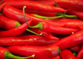 Peperoncino, consumi in crescita ma attenzione al vero made in Italy