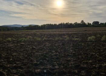 Terre agricole, crescono le compravendite