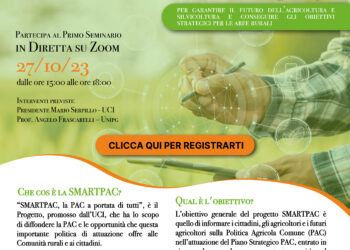 Smart Pac, in arrivo il primo webinar