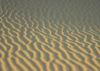 Cop 28, per la Fao i sistemi agroalimentari sono la soluzione