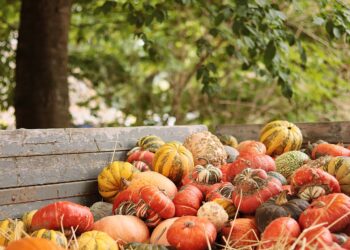 Europa, l’agricoltura perde terreno