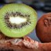 Cancro del kiwi, produzione italiana ridotta del 7%