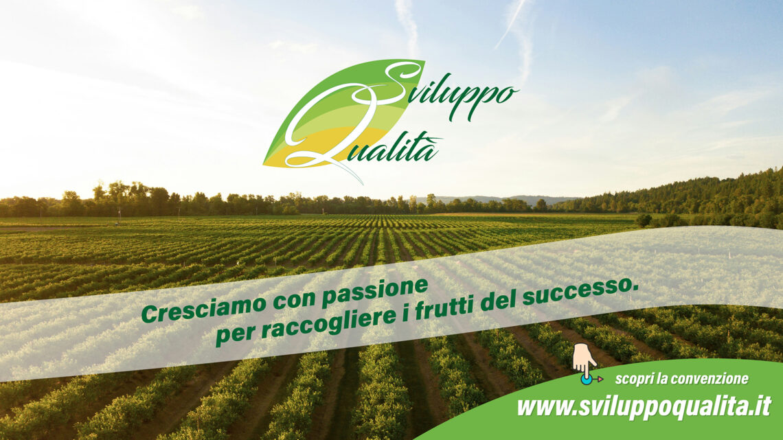 Sviluppo-e-Qualita