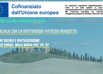 Quarta Video pillola