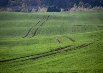 Partita l’asta pubblica, Ismea pone in vendita oltre 11 mila ettari