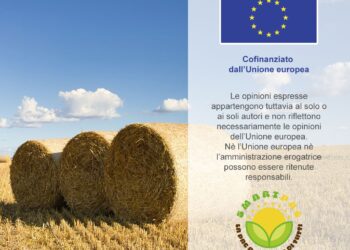 La condizionalità rafforzata e la condizionalità sociale nella Pac ’23 – ’27, le principali novità introdotte