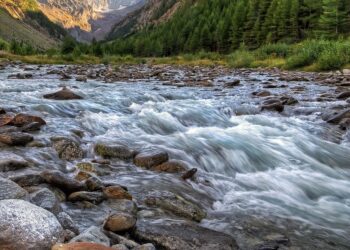 Oggi si celebra la Giornata Mondiale dell’Ambiente