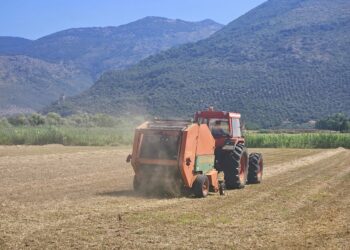 Cereali, produzione stimata al massimo storico
