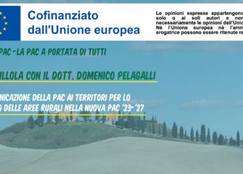 Quinta Video Pillola