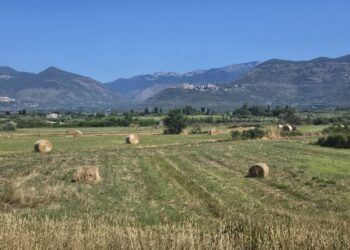 Riparte Generazione Terra, misura di Ismea che finanzia l’acquisto dei terreni