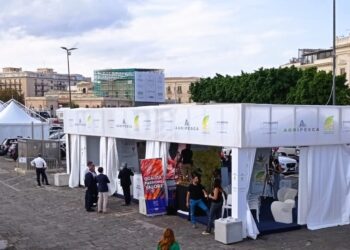 L’Uci al G7 di Siracusa