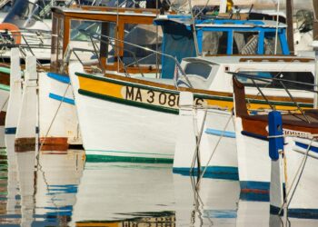 Pescherecci, nella UE previsti profitti a 1,6 miliardi nel 2024