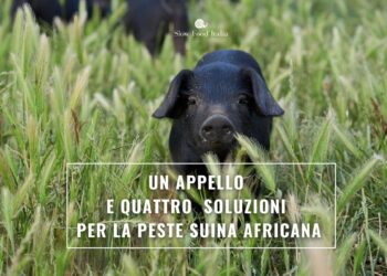 Peste suina, l’UCI sostiene l’appello lanciato da Slow Food