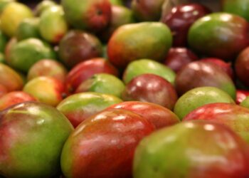 Frutta tropicale, vendite in crescita in Italia