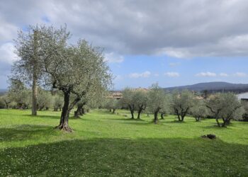 L’agricoltura vale il 2% del Pil
