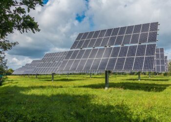 Effetto “covering” da fotovoltaico, persi 400 ettari di suolo agricolo nel 2023