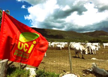 Fondo interessi Ismea, le domande di agevolazione