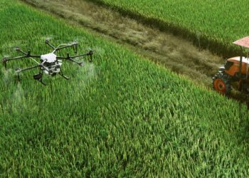 Italia, grande sviluppo dell’agricoltura 4.0