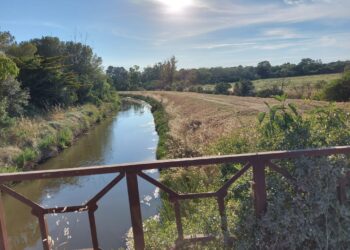 Export distretti agroalimentari, raggiunta quota 28 miliardi a fine 2024