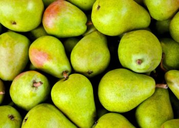 Indagine Crea, bene export di mele e kiwi