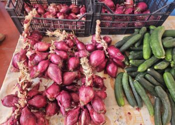 Consumi, l’andamento delle quotazioni