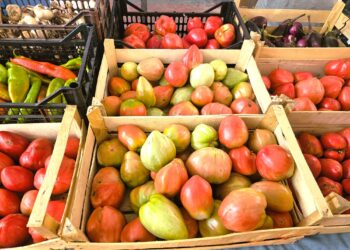 Commodities alimentari, quotazioni record per il pomodoro italiano