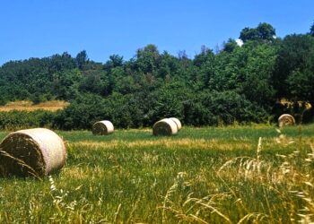 Report ismea, agroalimentare italiano leader in Europa