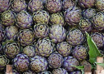 Made in Italy, la grande crisi dei carciofi italiani