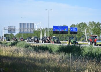 Mercosur, le ragioni delle proteste