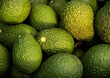 L’Italia sempre più ghiotta di avocado