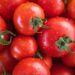 Pomodoro da industria, l’Italia conquista il podio mondiale della produzione